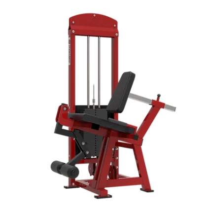 Dynamic Leg Extension